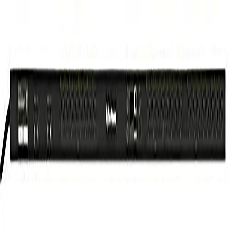 PDU20BVHVIEC20F 20-Outlets PDU